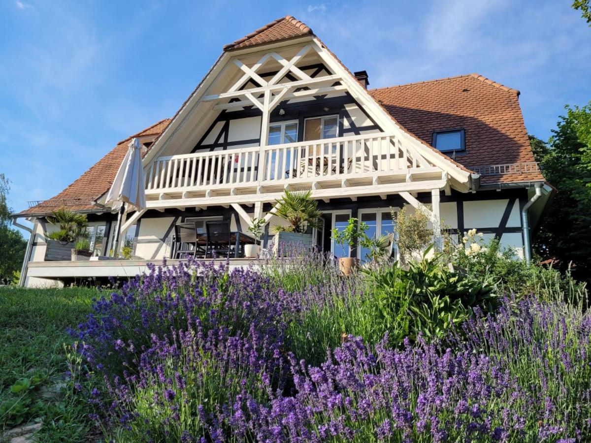 Romantik-Home Nordelsass - Ferienwohnung Fuer Selbstversorger Oberhoffen-les-Wissembourg Екстер'єр фото