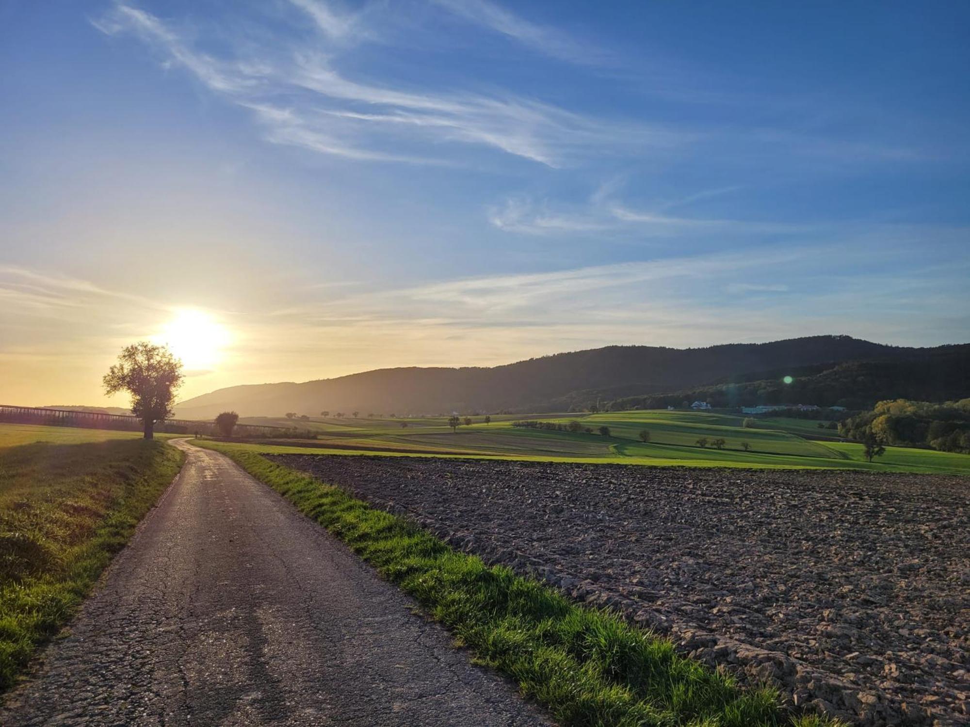 Romantik-Home Nordelsass - Ferienwohnung Fuer Selbstversorger Oberhoffen-les-Wissembourg Екстер'єр фото